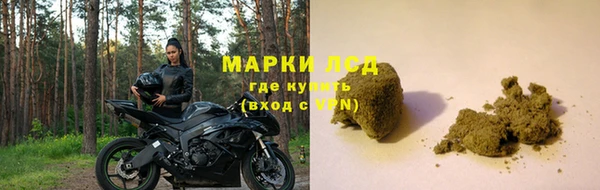 прущие грибы Аркадак