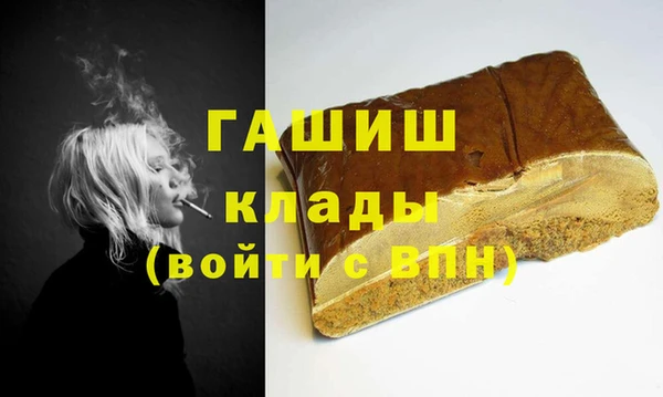 индика Алексин