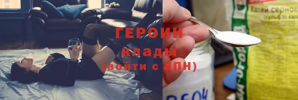 индика Алексин