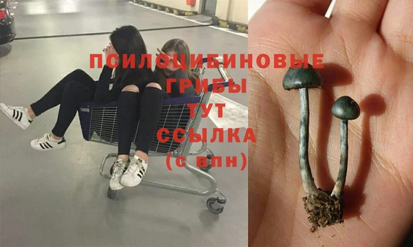 экстази Алзамай