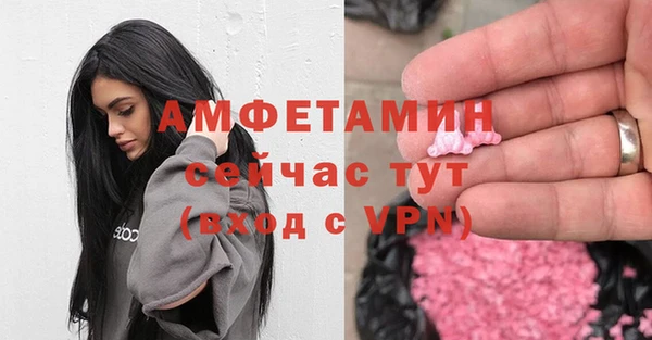 дмт Абаза