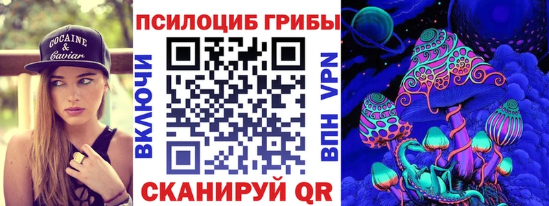 Псилоцибиновые грибы мицелий  мега ссылки  Тында  как найти закладки 